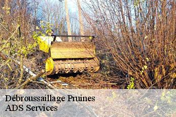 Débroussaillage pruines-12320 ADS Services