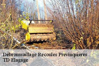 Débroussaillage  recoules-previnquieres-12150 TD Elagage