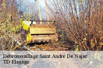 Débroussaillage  saint-andre-de-najac-12270 TD Elagage