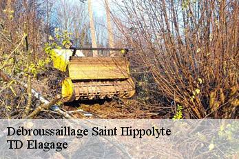 Débroussaillage  saint-hippolyte-12140 TD Elagage