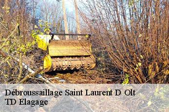Débroussaillage  saint-laurent-d-olt-12560 TD Elagage