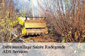 Débroussaillage sainte-radegonde-12850 ADS Services