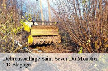 Débroussaillage  saint-sever-du-moustier-12370 TD Elagage