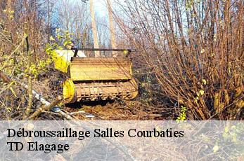 Débroussaillage  salles-courbaties-12260 TD Elagage