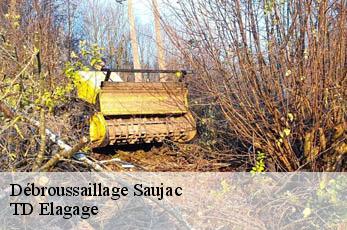 Débroussaillage  saujac-12260 TD Elagage