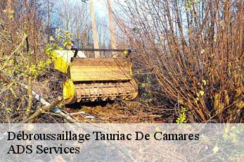 Débroussaillage tauriac-de-camares-12360 ADS Services