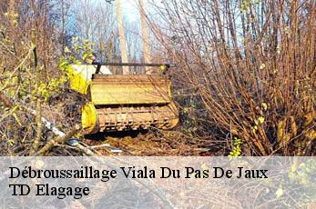 Débroussaillage  viala-du-pas-de-jaux-12250 TD Elagage