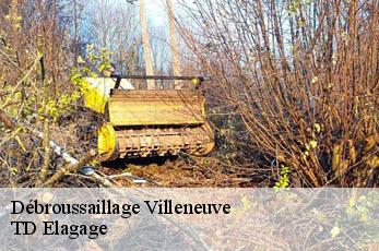 Débroussaillage  villeneuve-12260 TD Elagage