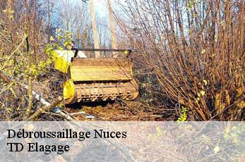 Débroussaillage  nuces-12330 TD Elagage