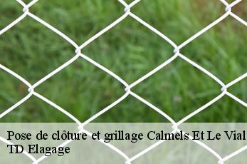 Pose de clôture et grillage  calmels-et-le-viala-12400 TD Elagage
