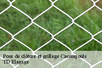 Pose de clôture et grillage  cassuejouls-12210 TD Elagage