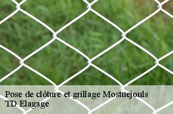 Pose de clôture et grillage  mostuejouls-12720 TD Elagage