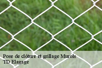 Pose de clôture et grillage  murols-12600 TD Elagage