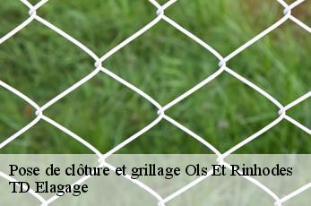 Pose de clôture et grillage  ols-et-rinhodes-12260 TD Elagage