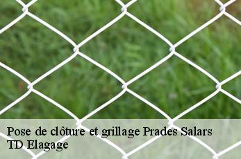 Pose de clôture et grillage  prades-salars-12290 TD Elagage
