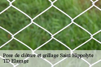 Pose de clôture et grillage  saint-hippolyte-12140 TD Elagage