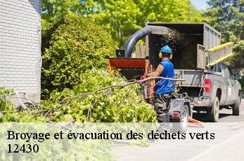 Broyage et évacuation des déchets verts   12430