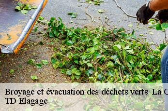 Broyage et évacuation des déchets verts   la-capelle-balaguier-12260 TD Elagage