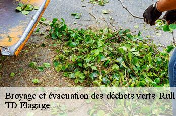 Broyage et évacuation des déchets verts   rullac-saint-cirq-12120 TD Elagage