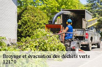 Broyage et évacuation des déchets verts 12170