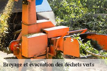 Broyage et évacuation des déchets verts 