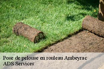 Pose de pelouse en rouleau  ambeyrac-12260 ADS Services