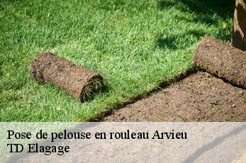 Pose de pelouse en rouleau  arvieu-12120 TD Elagage