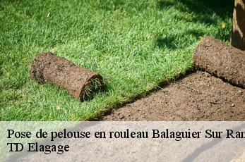 Pose de pelouse en rouleau  balaguier-sur-rance-12380 TD Elagage