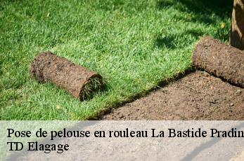 Pose de pelouse en rouleau  la-bastide-pradines-12490 TD Elagage