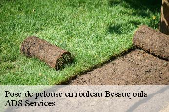 Pose de pelouse en rouleau  bessuejouls-12500 ADS Services