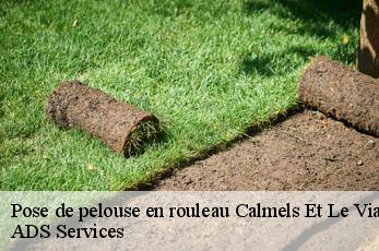 Pose de pelouse en rouleau  calmels-et-le-viala-12400 ADS Services