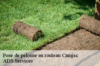 Pose de pelouse en rouleau  camjac-12800 ADS Services