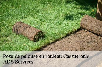 Pose de pelouse en rouleau  cassuejouls-12210 ADS Services