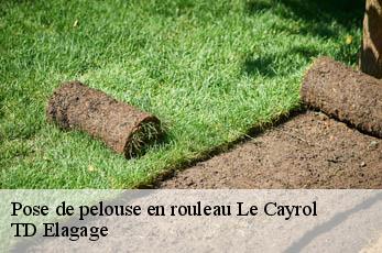 Pose de pelouse en rouleau  le-cayrol-12500 TD Elagage