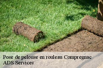 Pose de pelouse en rouleau  compregnac-12100 ADS Services