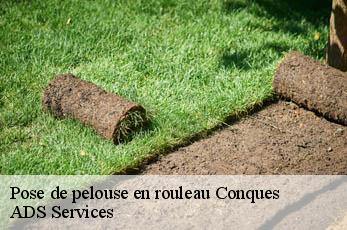 Pose de pelouse en rouleau conques-12320 ADS Services