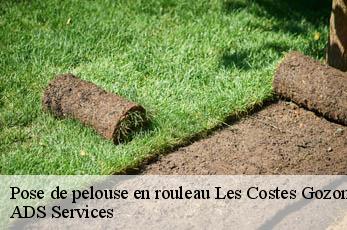 Pose de pelouse en rouleau  les-costes-gozon-12400 ADS Services