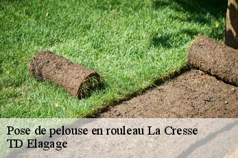 Pose de pelouse en rouleau  la-cresse-12640 TD Elagage