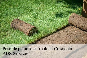 Pose de pelouse en rouleau cruejouls-12340 ADS Services