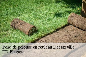Pose de pelouse en rouleau  decazeville-12300 TD Elagage