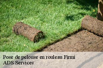 Pose de pelouse en rouleau firmi-12300 ADS Services