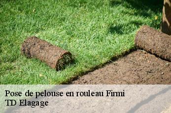 Pose de pelouse en rouleau  firmi-12300 TD Elagage