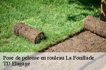 Pose de pelouse en rouleau  la-fouillade-12270 TD Elagage