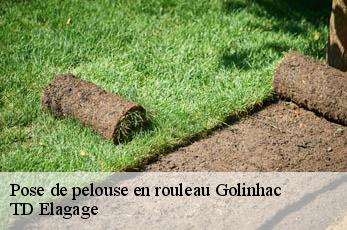Pose de pelouse en rouleau  golinhac-12140 TD Elagage
