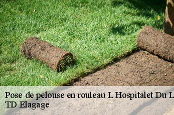 Pose de pelouse en rouleau  l-hospitalet-du-larzac-12230 TD Elagage