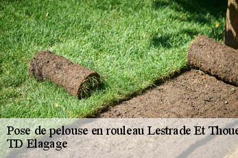 Pose de pelouse en rouleau  lestrade-et-thouels-12430 TD Elagage