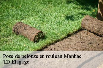 Pose de pelouse en rouleau  manhac-12160 TD Elagage