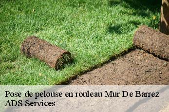 Pose de pelouse en rouleau  mur-de-barrez-12600 ADS Services