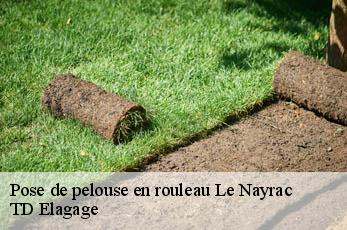 Pose de pelouse en rouleau  le-nayrac-12190 TD Elagage