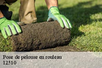 Pose de pelouse en rouleau  12510